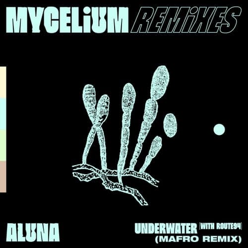 Underwater (MAFRO Extended Remix)