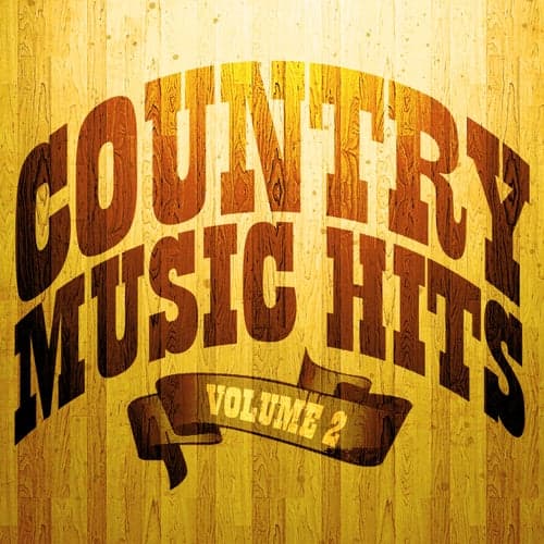 100 Country Music Hits Vol. 2