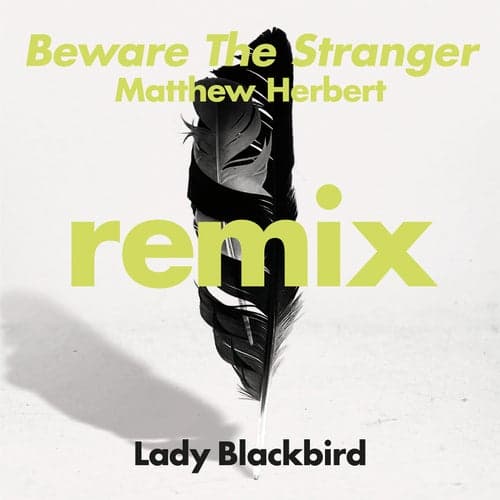 Beware The Stranger (Matthew Herbert Remix)
