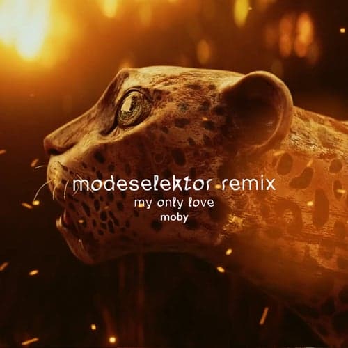 My Only Love (feat. Mindy Jones) [Modeselektor Remix]