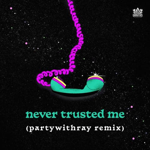 Never Trusted Me (partywithray Remix)