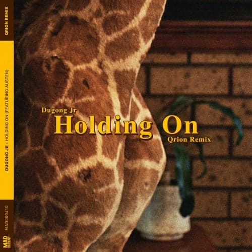 Holding On (Qrion Remix)
