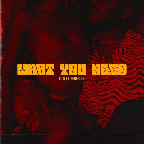 What You Need (feat. Zenesoul) (feat. Zenesoul)
