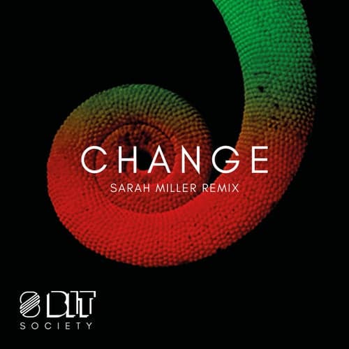 Change (Sarah Miller Remix)