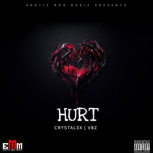 Hurt (feat. Vbz)