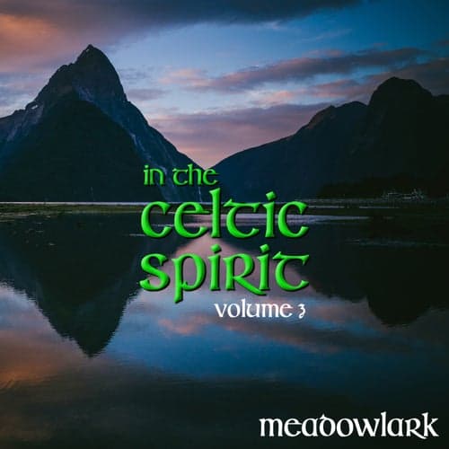 In the Celtic Spirit, Volume 3
