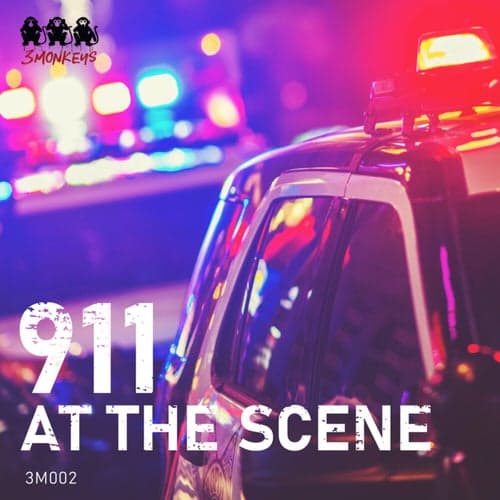 911: At the Scene