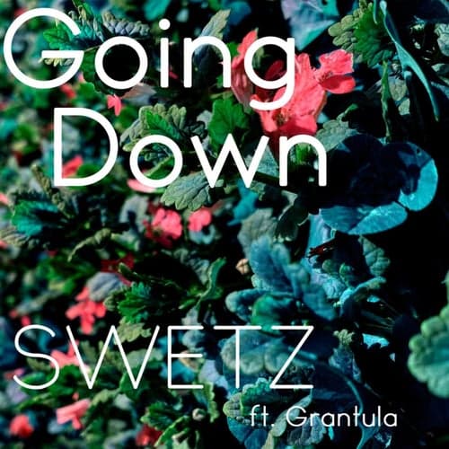 Going Down (feat. Grantula)