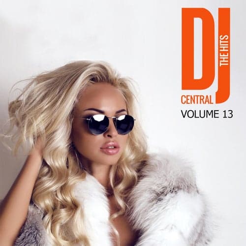 DJ Central - The Hits, Vol. 13
