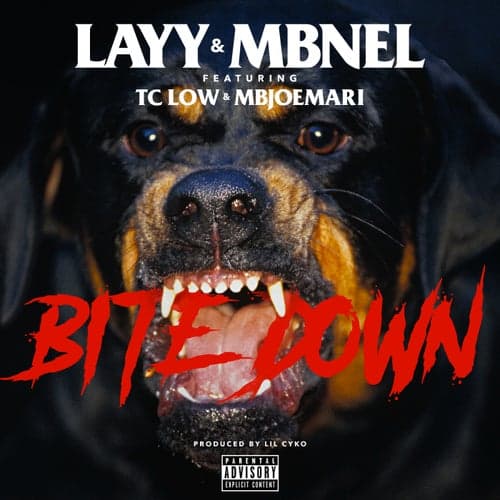 Bite Down (feat. TC Low & Mbjoemari)