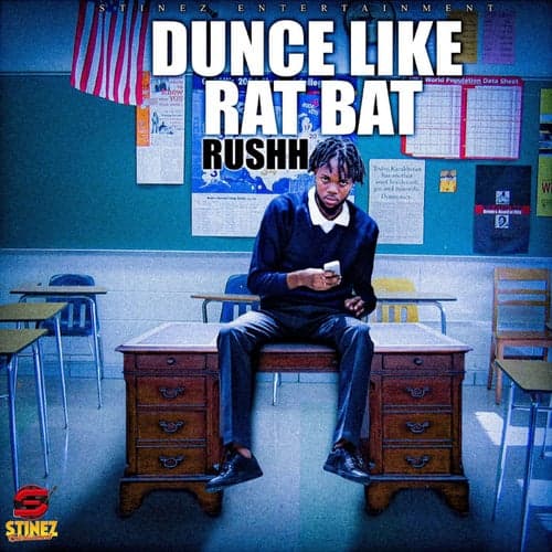 Dunce Like Rat Bat