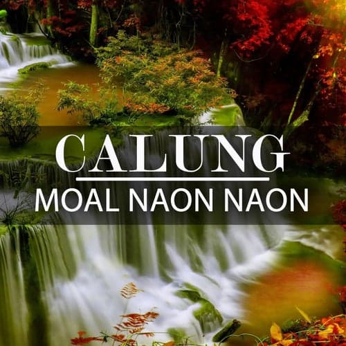 Calung Moal Naon Naon