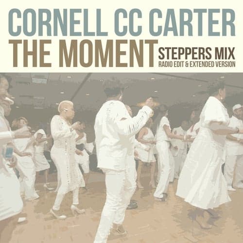 The Moment (Steppers Mix)
