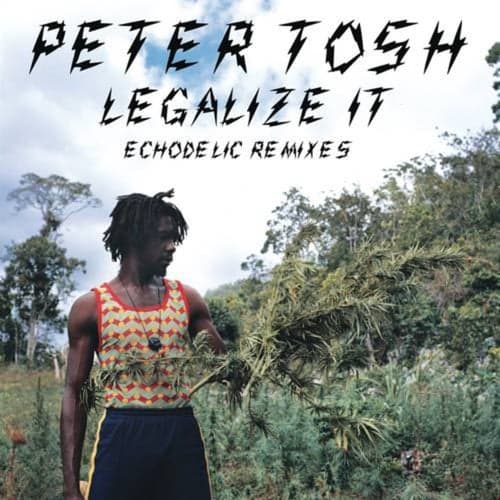 Legalize It: Echodelic Remixes