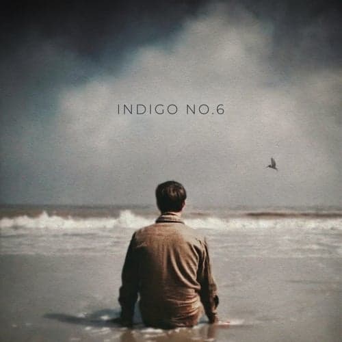 Indigo No. 6