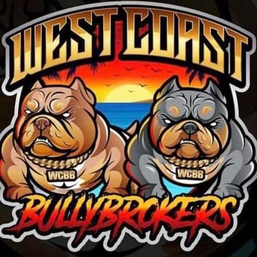 WestCoast BullyBrokers