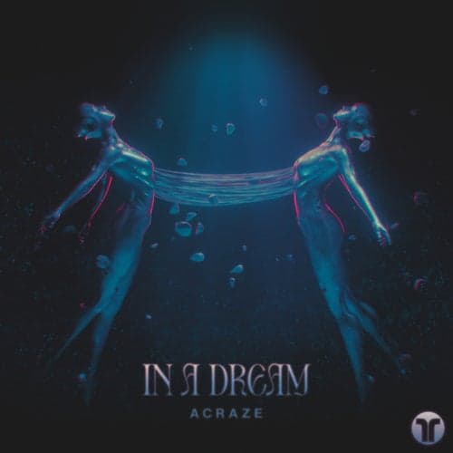 In A Dream (Extended Mix)