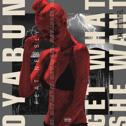 Getwhatshewant (feat. Nessly)