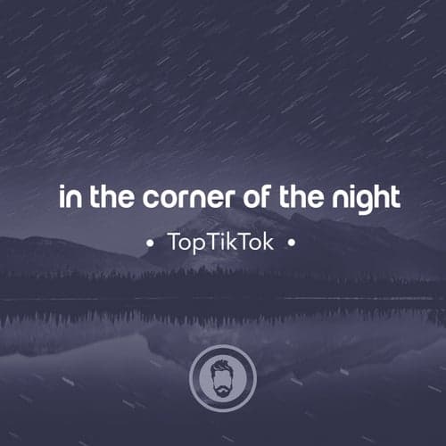 In The Corner Of The Night