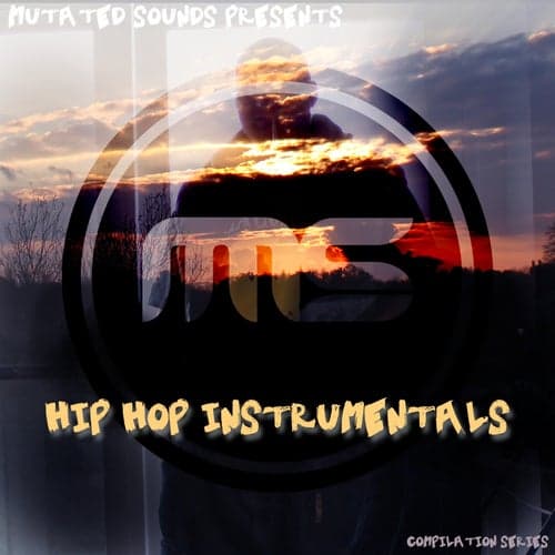 Hip Hop Instrumentals (Compilation Series)