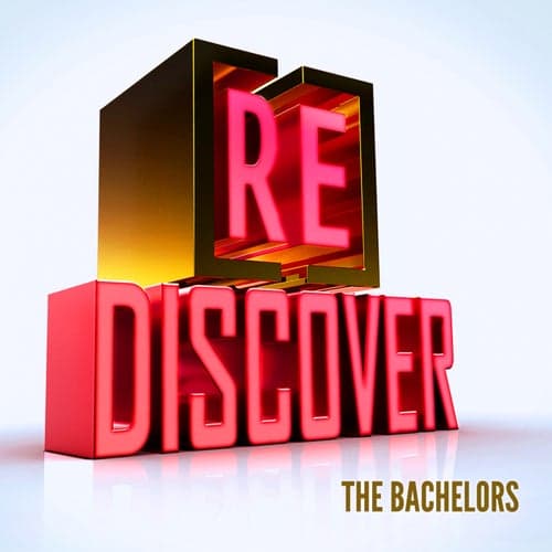 [RE]discover The Bachelors