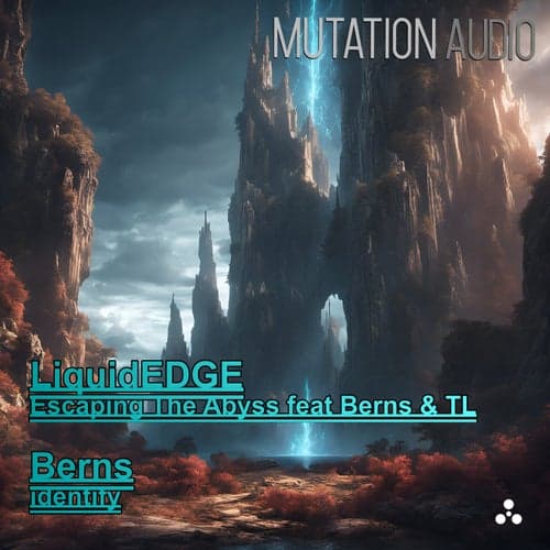 Escaping the Abyss / Identify