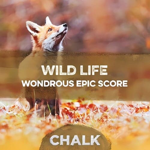 Wild Life - Wondrous Epic Score
