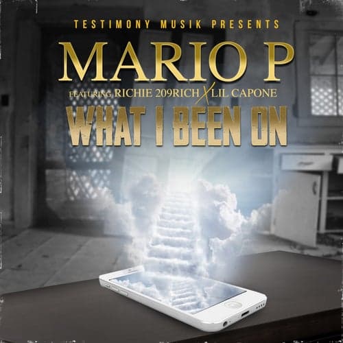 What I Been On (feat. Richie 209 Rich & Lil Capone)