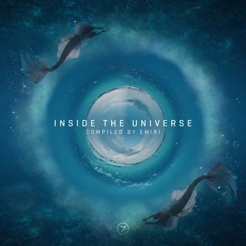Inside The Universe
