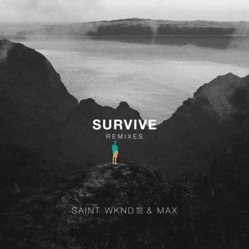 Survive (Remixes)