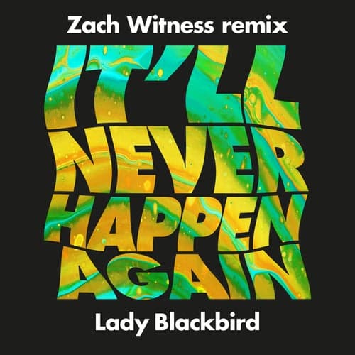 It'll Never Happen Again (Zach Witness Remix) [Edit]
