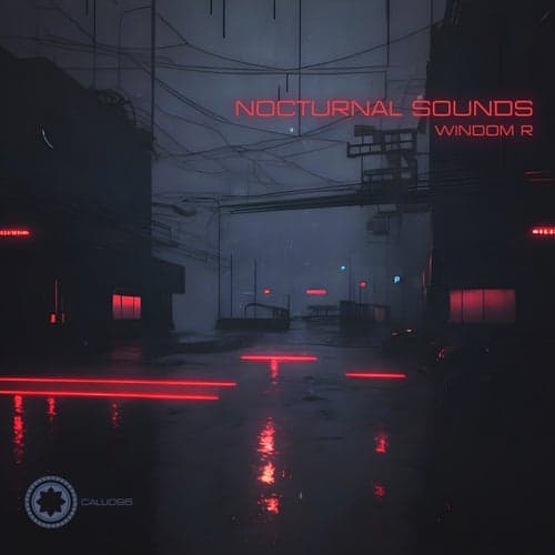 Nocturnal Sounds