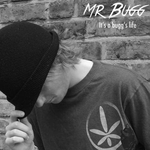 It's a Bugg's Life