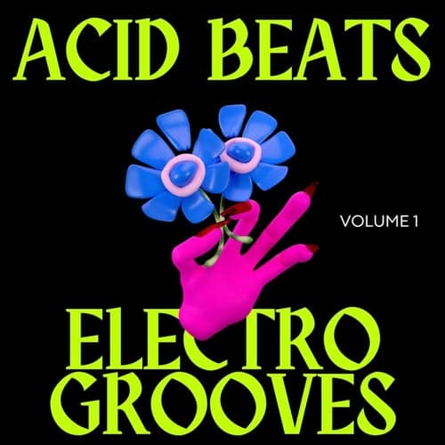 Acid Beats Electro Grooves, Vol.1