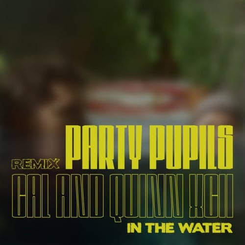 In the Water (Party Pupils Remix)