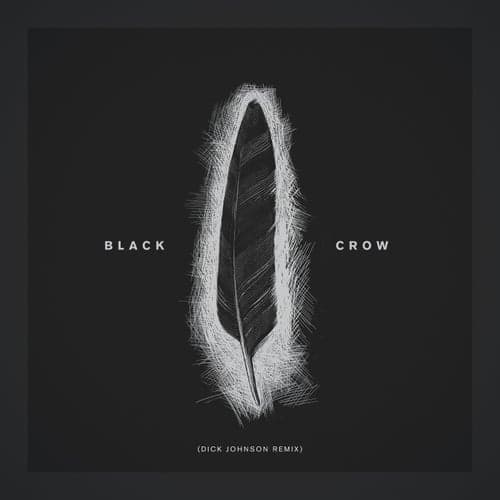 Black Crow (Dick Johnson Remix)