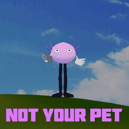 Not Your Pet (KinitoPET)