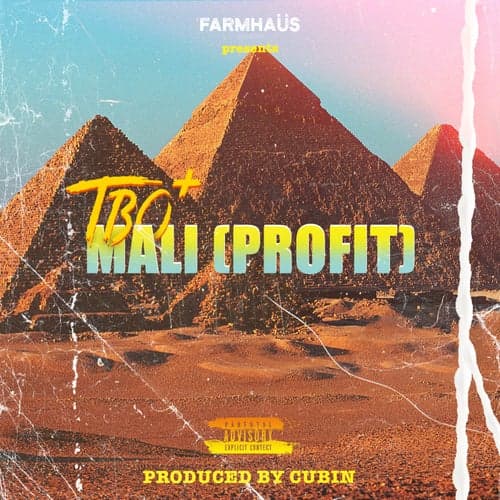 Mali (Profit)