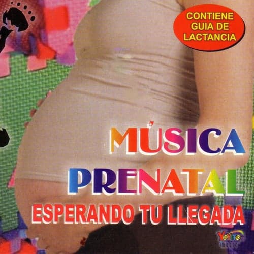 Música Prenatal - Esperando Tu Llegada