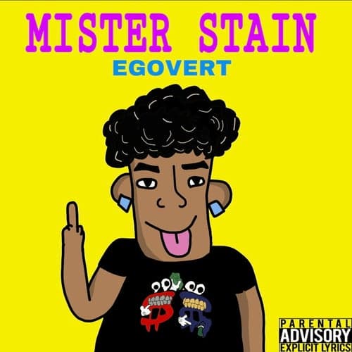 MISTER STAIN FREESTYLE