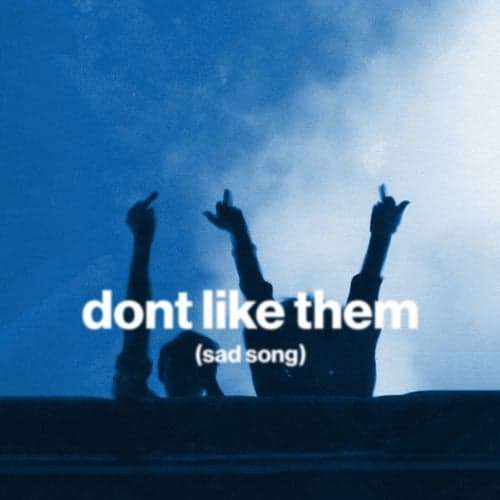 don't like them (sad song)