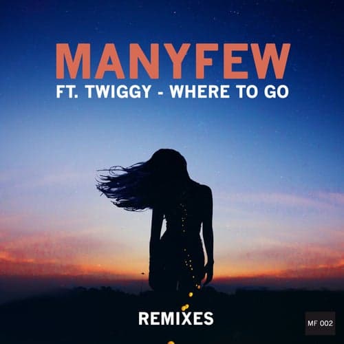 Where to Go (Remixes)