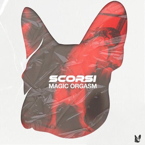 Magic Orgasm