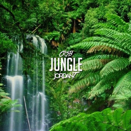 Jungle (feat. Jordan T)