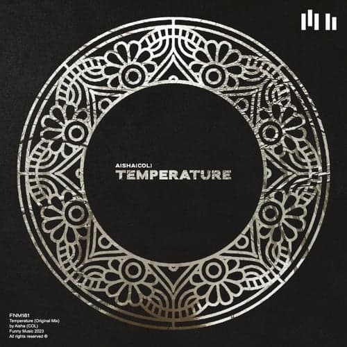 Temperature (Original Mix)