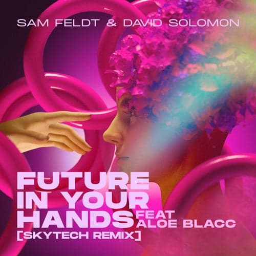 Future In Your Hands (feat. Aloe Blacc) [Skytech Remix]