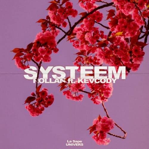 Systeem