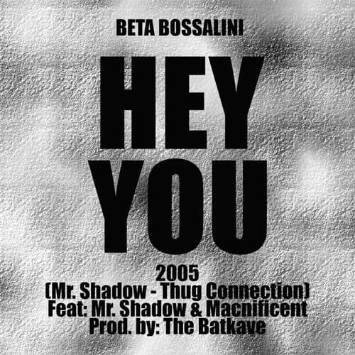 Hey You (feat. Mr. Shadow & Macnificent)