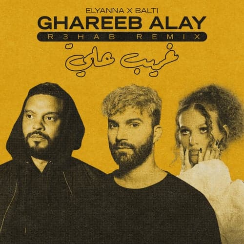 Ghareeb Alay (R3HAB Remix)