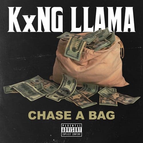Chase a Bag